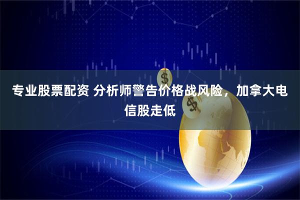 专业股票配资 分析师警告价格战风险，加拿大电信股走低